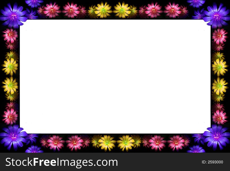 Abstract floral dark frame with pink, yellow and blue flowers. Abstract floral dark frame with pink, yellow and blue flowers