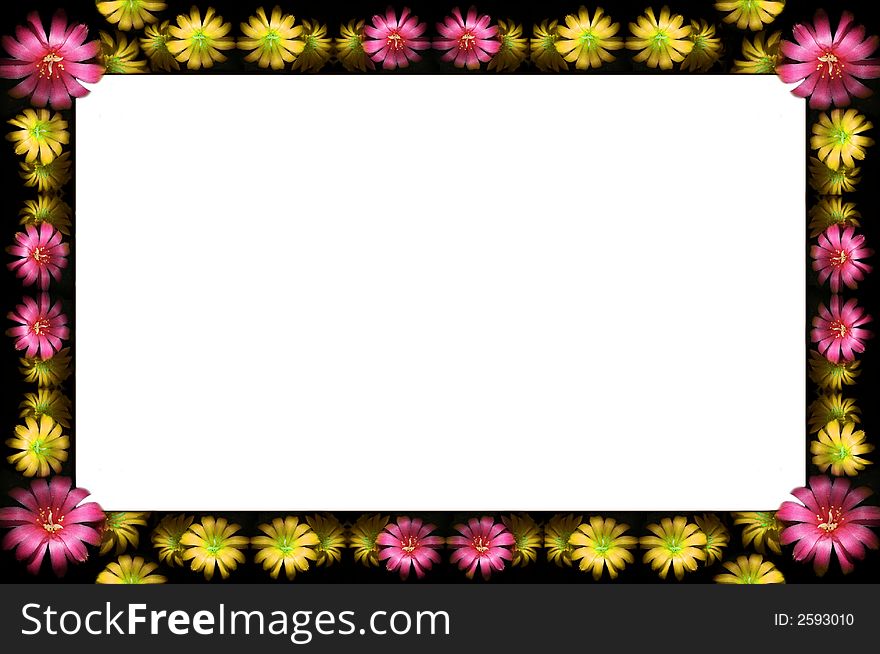 Abstract floral dark frame with pink and yellow flowers. Abstract floral dark frame with pink and yellow flowers