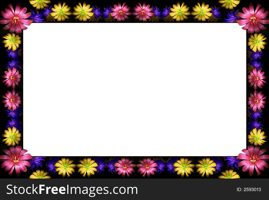 Abstract floral dark frame with pink, yellow and blue flowers. Abstract floral dark frame with pink, yellow and blue flowers