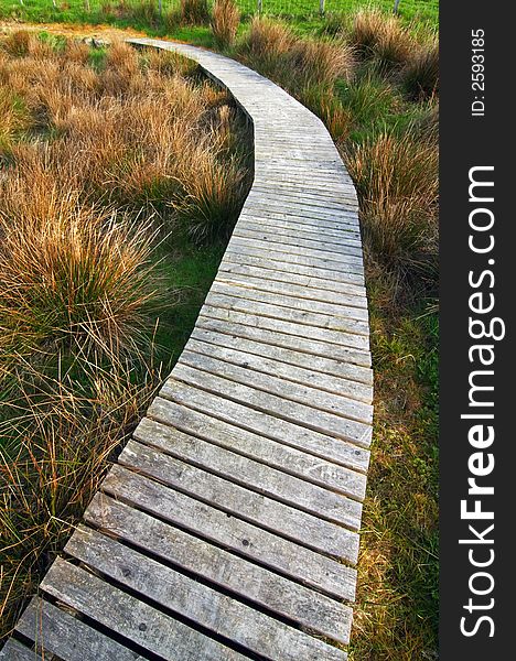 Wooden path in a meadow