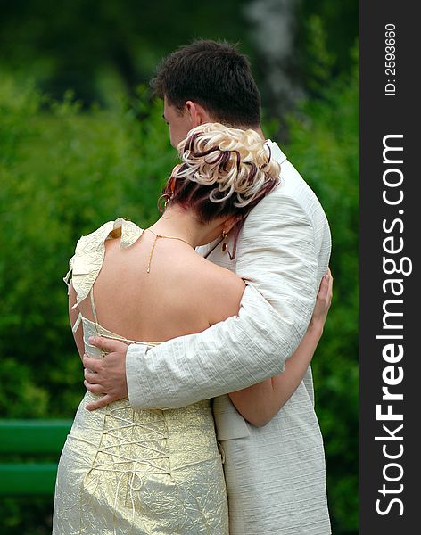 The groom with the bride stand having embraced on a green background. The groom with the bride stand having embraced on a green background