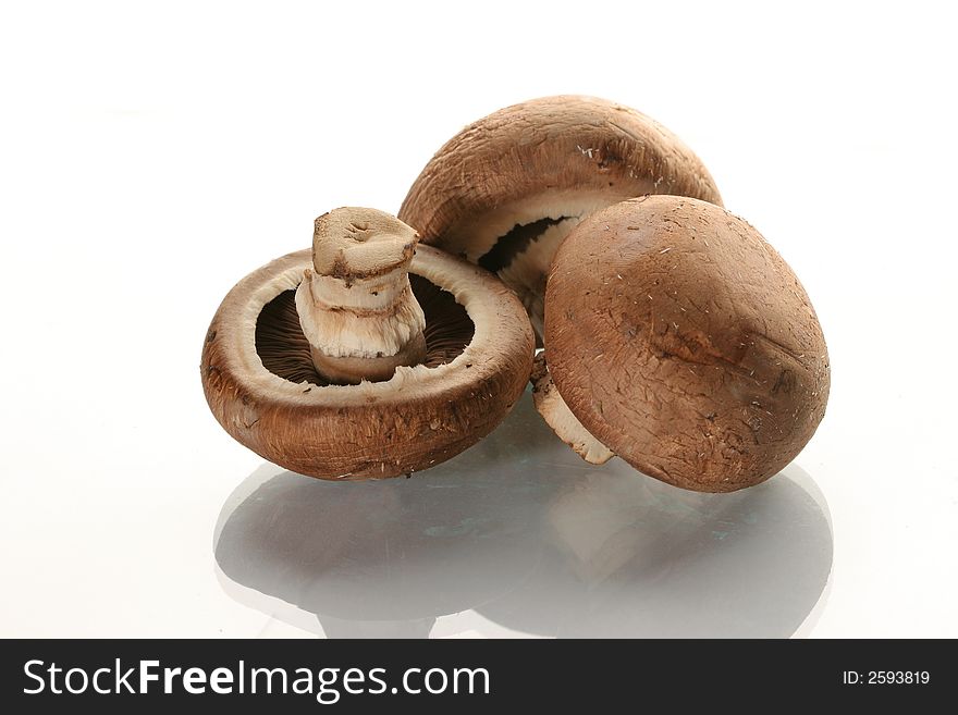 Mushrooms champignons on a white background