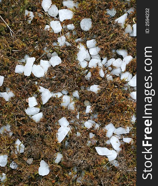 Abstract of small white quartz gravel stones and moss on path. Abstract of small white quartz gravel stones and moss on path.