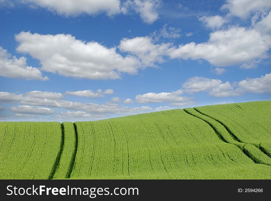 Green field with clouds and blue sky. Green field with clouds and blue sky