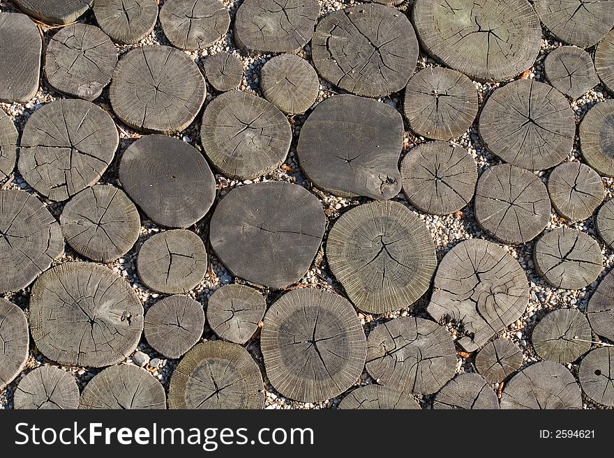 Close-up of wood log abstract texture. Close-up of wood log abstract texture