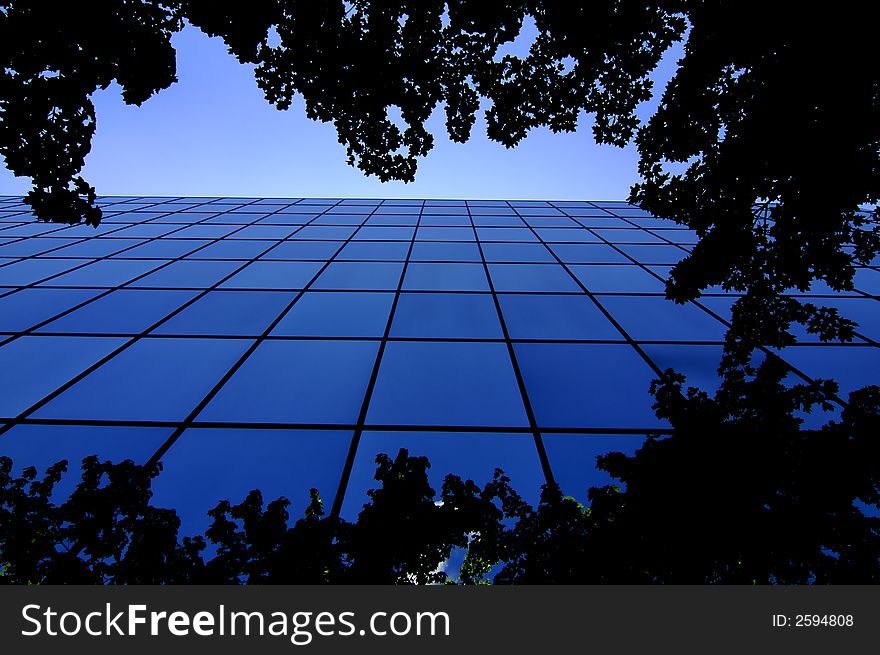 Office building details reflecting, blue sky and trees in windows