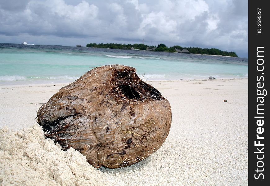 An empty coconut hulk near the beach area