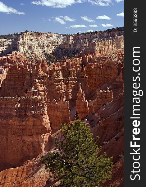 Bryce Canyon Hoodoos