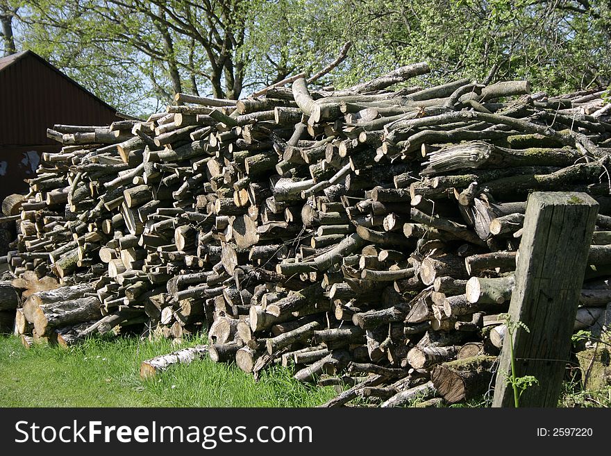 Tree logs stacked in a large pile  drying out. Tree logs stacked in a large pile  drying out