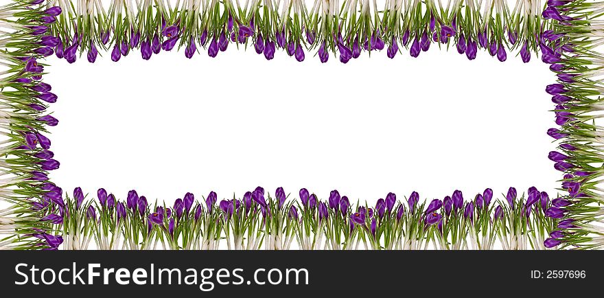 Spring floral frames isolated on white background