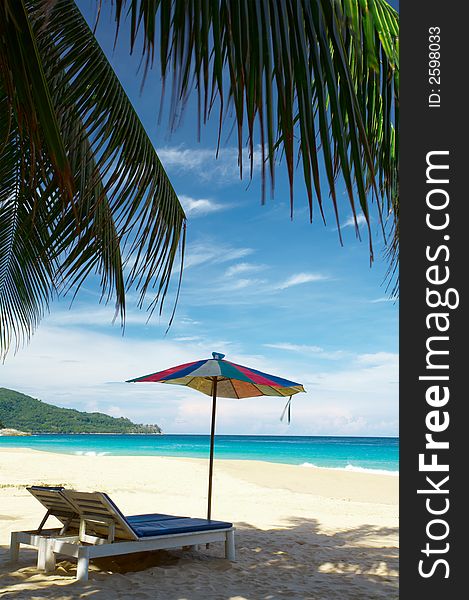 View of big coconut palm and two chairs with umbrella beneath. View of big coconut palm and two chairs with umbrella beneath