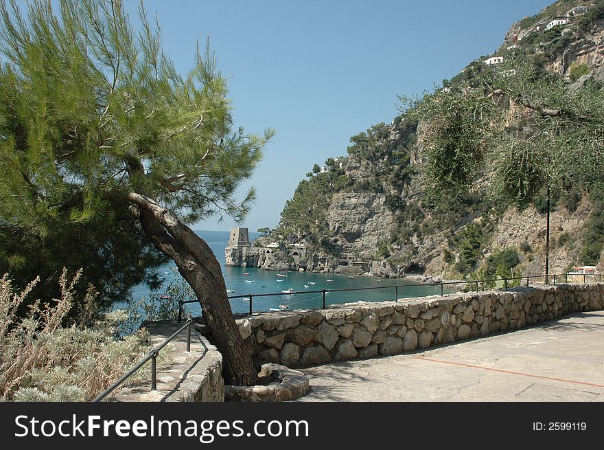 A mediterranean pine tree hangs over a cliff near the Italian coastal town of Amalfi.