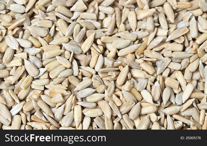 Sunflower Seeds Texture As Background