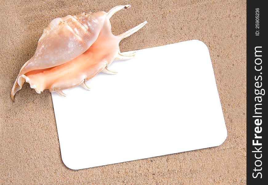 Holiday concept, blank paper on the beach with seashell. Holiday concept, blank paper on the beach with seashell