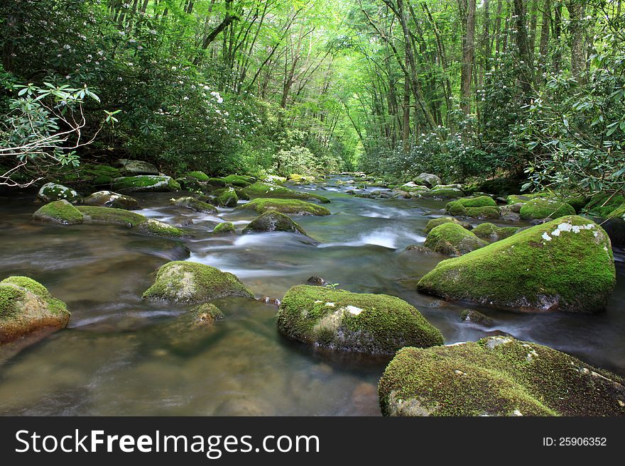 Mountain stream located in The Great Smoky Mountains National Park.