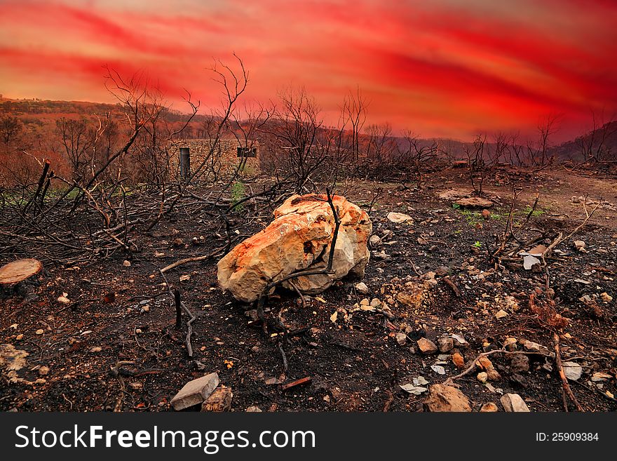 Forest fire consequences in Carmel mountains against bloody sunset. Israel. Forest fire consequences in Carmel mountains against bloody sunset. Israel