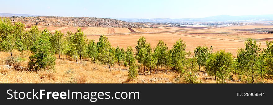 View from mountains on agricultural fields. Israel. View from mountains on agricultural fields. Israel
