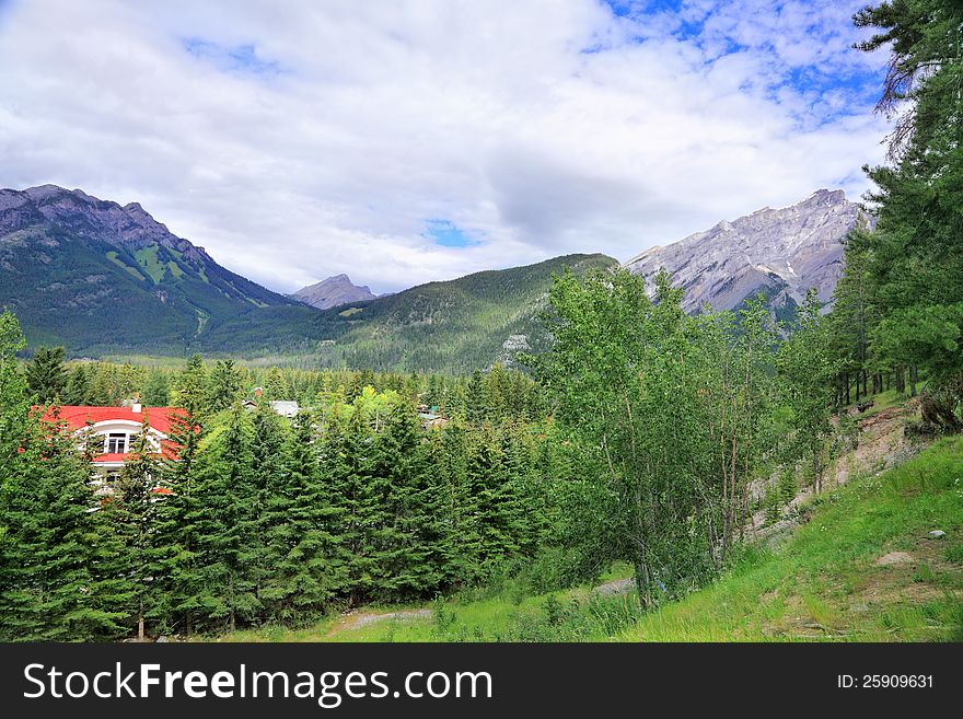 Red Tile Roof In Green Forest