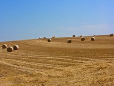 Hay Rolls Stock Images