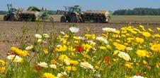 Field Of Wild Flowers With Farm Tractor Royalty Free Stock Photography Field Of Wild Flowers With Farm Tractor Royalty Free Stock Photography