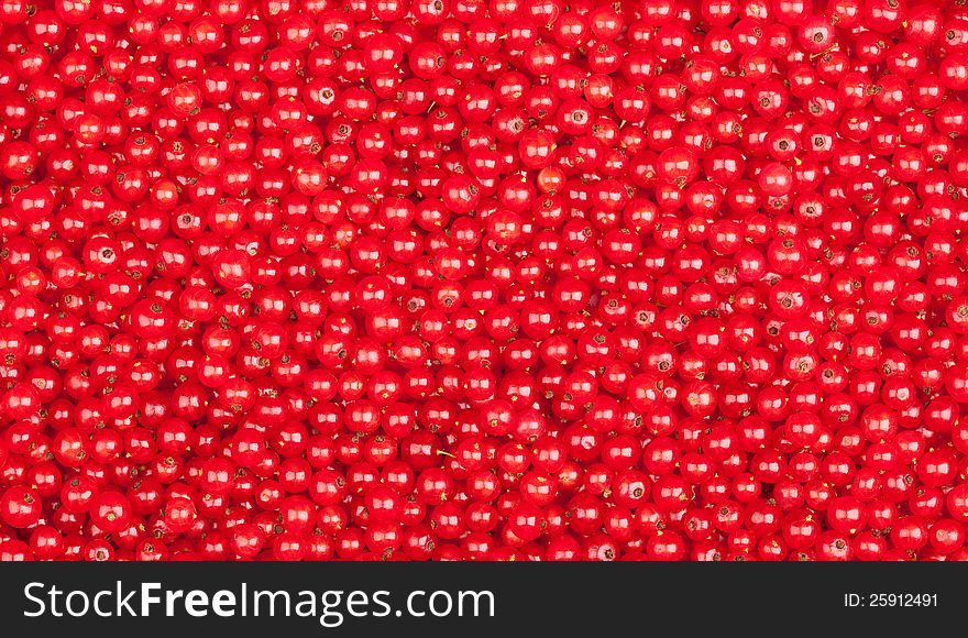 Natural red currant berries background. Natural red currant berries background