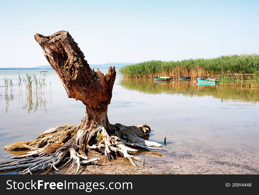 Old Bole At Lake Balaton,Hungary