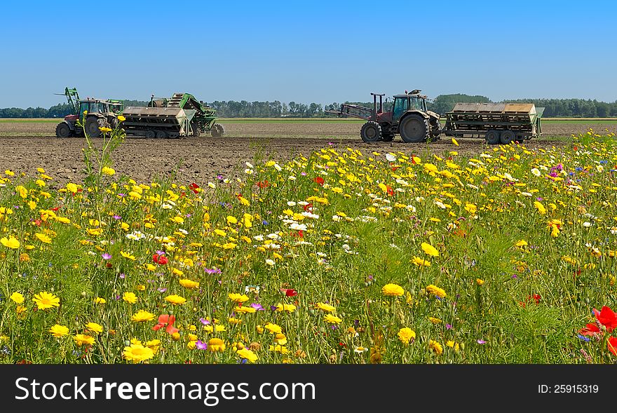 Farm tractor with trailer planting potatoes with a colorful wild flower field in the font.