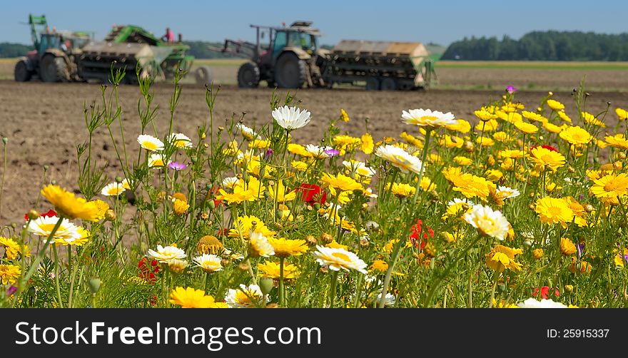 Field of colorful wild flowers with out of focus farm tractor in the background. Field of colorful wild flowers with out of focus farm tractor in the background