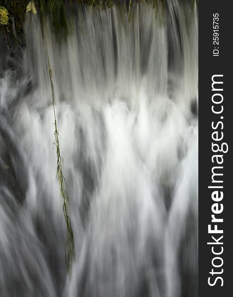 Details of flowing water with a green blade of plants. Details of flowing water with a green blade of plants