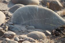 Free Stones With Textures By A Wetland Royalty Free Stock Photos - 259193878