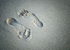 A Pair Of Foot Prints Royalty Free Stock Images A Pair Of Foot Prints Royalty Free Stock Images