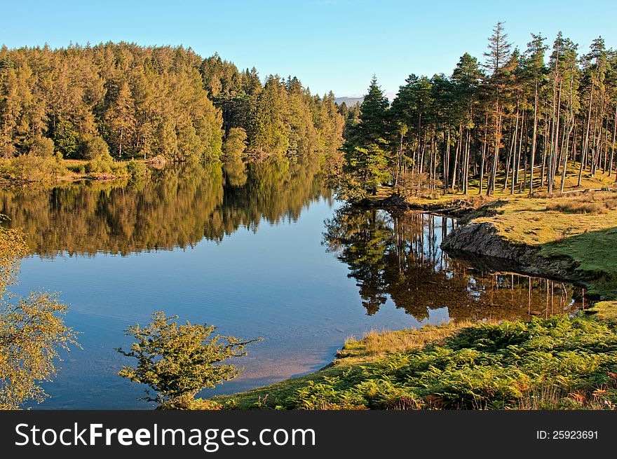 Early morning at Tarn Hows in the Lake District National Park, England