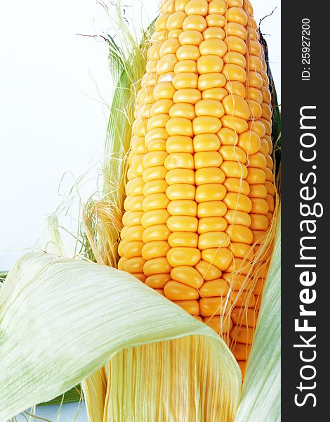 Fresh corn vegetable with green leaves closeup