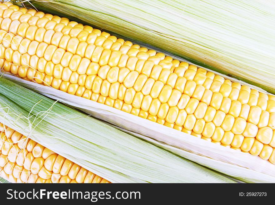 Fresh corn vegetable as background
