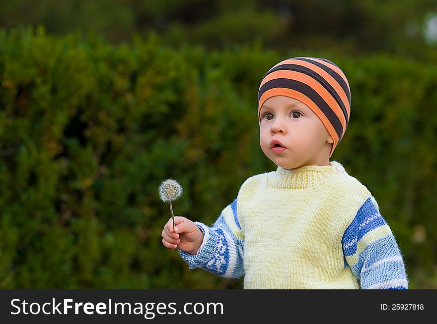 Against green bushes the kid in a sweater and a cap with a flower. Against green bushes the kid in a sweater and a cap with a flower