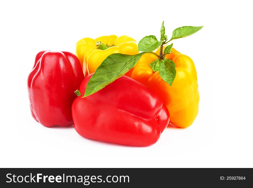 Fresh pepper vegetables on white background