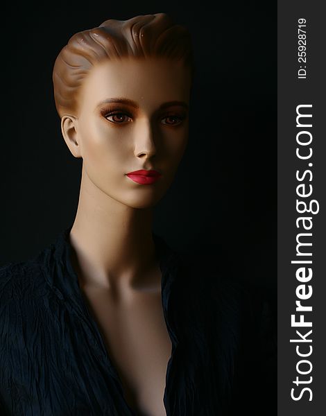 Portrait of beautiful fashion doll. Portrait of beautiful fashion doll