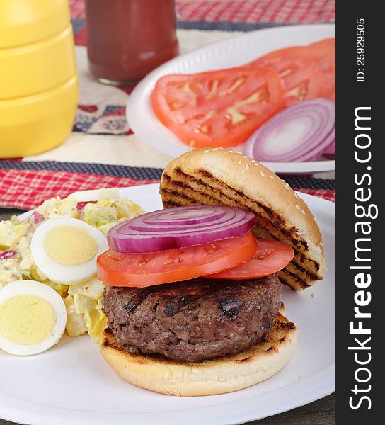 Hamburger sandwich with tomato and red onion on grilled bun. Hamburger sandwich with tomato and red onion on grilled bun