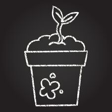 Potted Plant Chalk Drawing Royalty Free Stock Photography