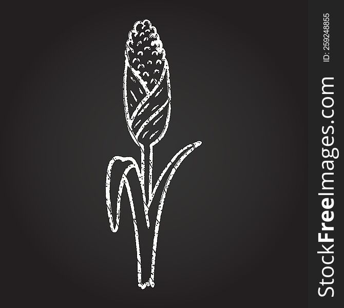 Corn Stalk Chalk Drawing