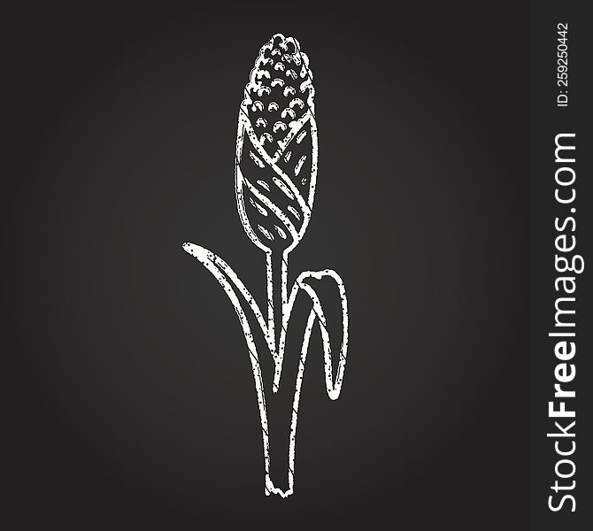Corn Stalk Chalk Drawing