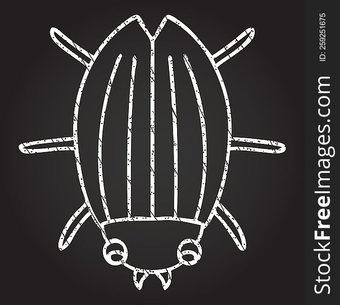 Beetle Chalk Drawing