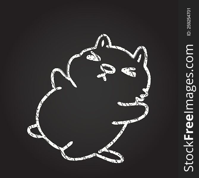 Cat Chalk Drawing