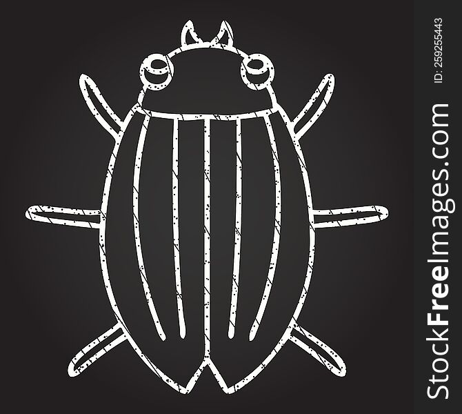 Beetle Chalk Drawing
