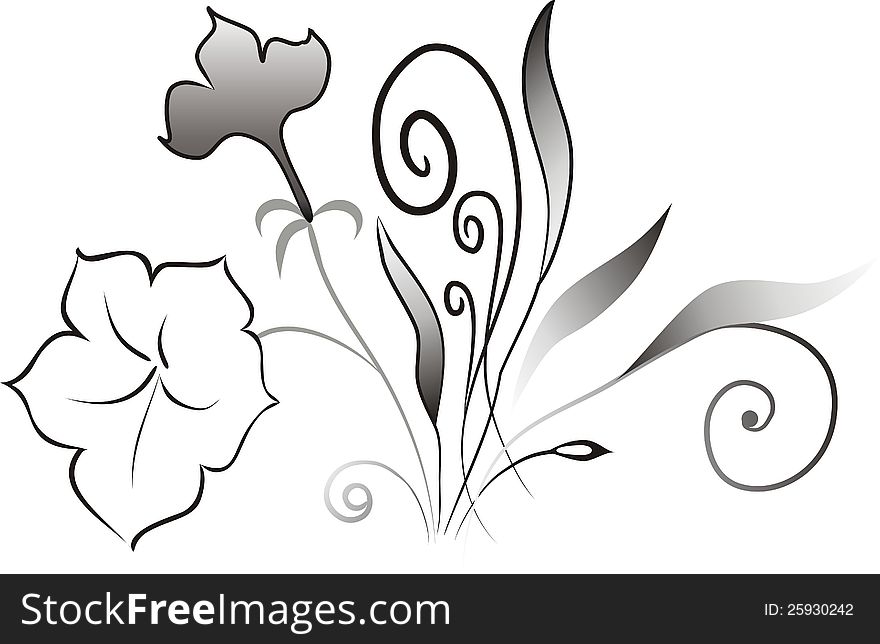 Curly twigs, leaves and flowers. Wild plants. Curly twigs, leaves and flowers. Wild plants