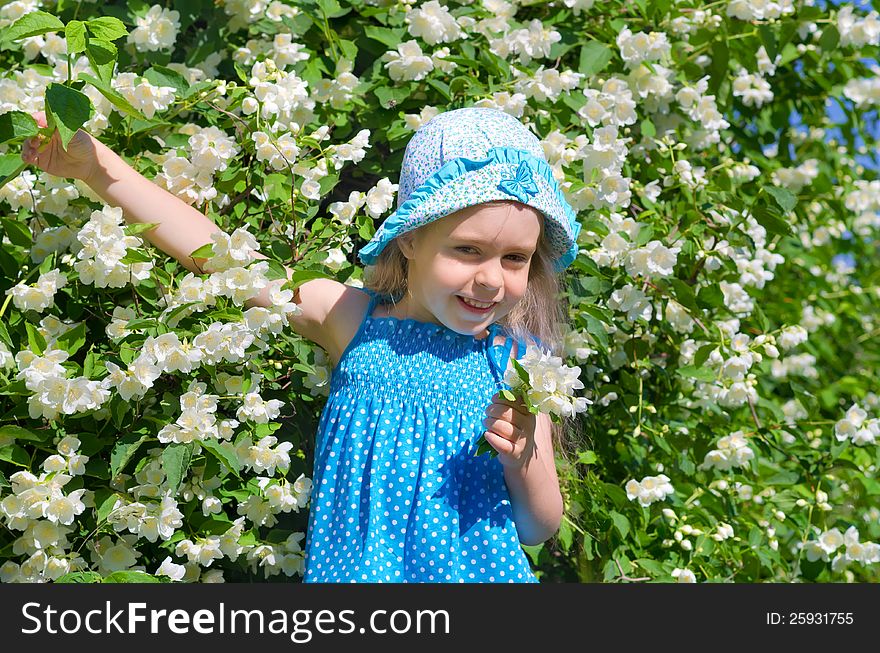 Little funny girl with blooming jasmine bush. Little funny girl with blooming jasmine bush.