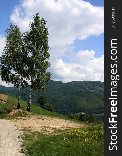 The landscape in the mountains with two birch trees in the foreground. Against a background of blue sky and white clouds. The landscape in the mountains with two birch trees in the foreground. Against a background of blue sky and white clouds.