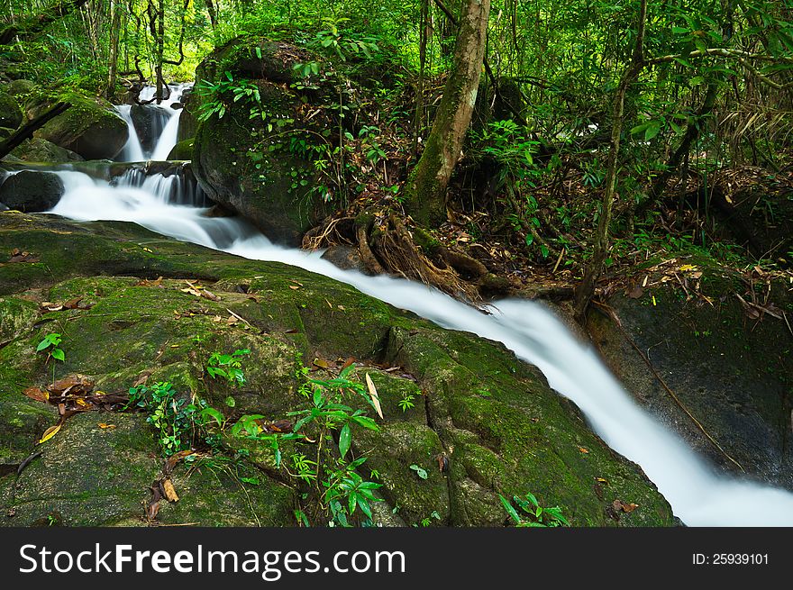 Waterfall In Deep Forest