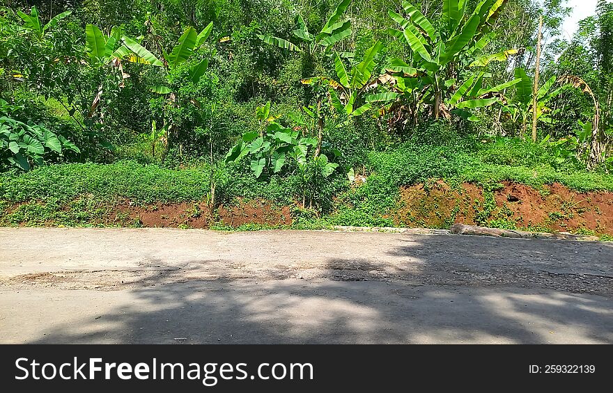 Road In The Countryside Realistic Photo