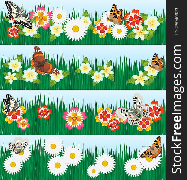 A set of butterflies and wildflowers. The illustration on a white background. A set of butterflies and wildflowers. The illustration on a white background.